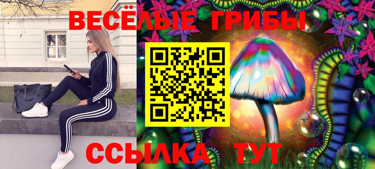 Галлюциногенные грибы MAGIC MUSHROOMS Мариинск